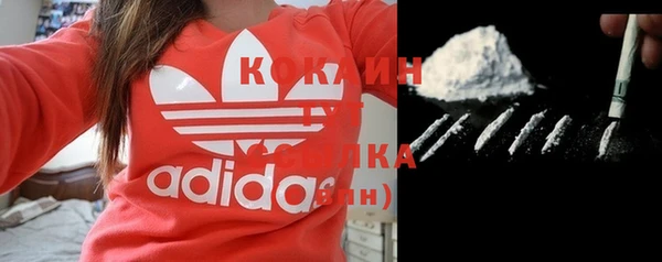 соль ск Алзамай