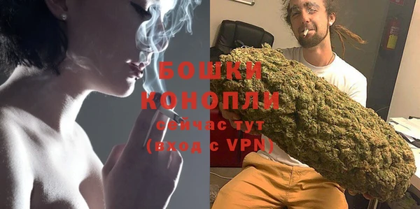 хмурый Липки
