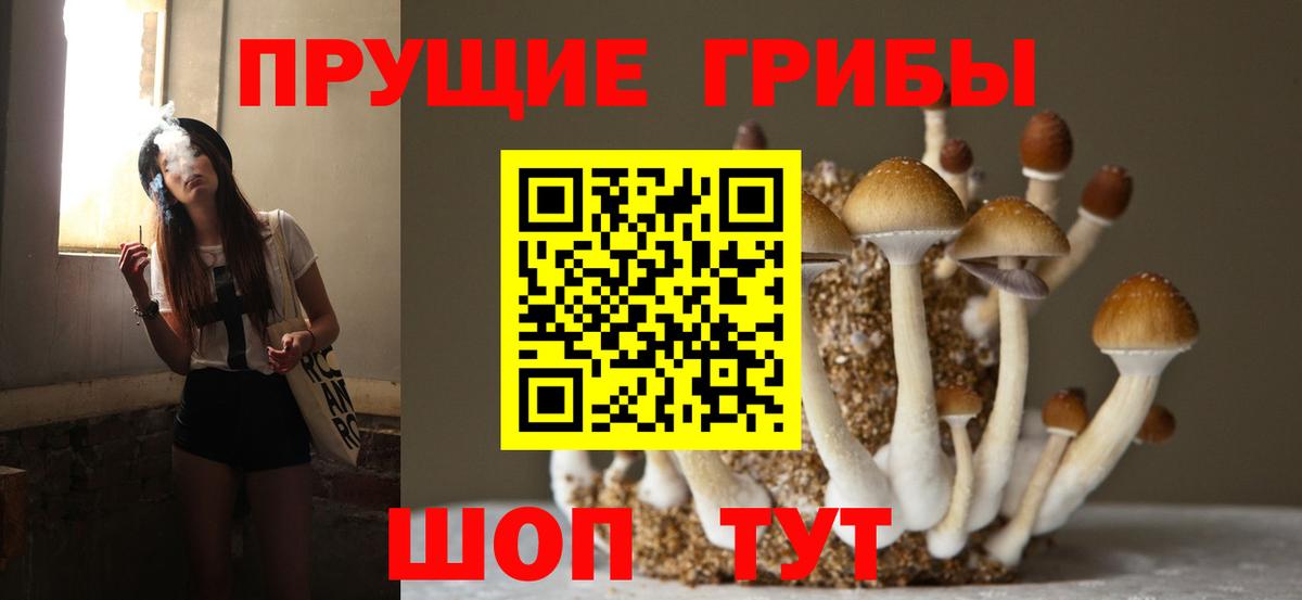 Дзержинск  Псилоцибиновые грибы прущие грибы  Вход с VPN 